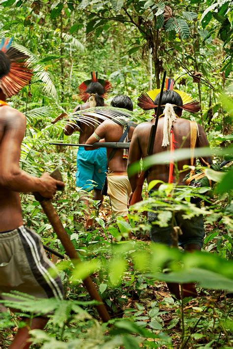 Discover These Indigenous People Of The Amazon And Their, 48% OFF