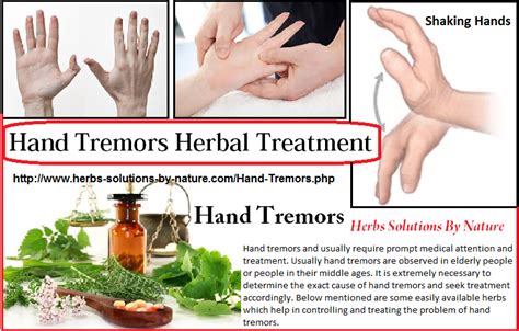 Effective Herbal Remedies for Hand Tremors - Herbs Solutions By Nature