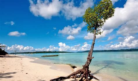 52 Best Places to Visit in Andaman Island in 2021 - Andaman Tourism