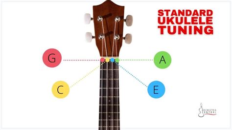 Ukulele Tuning: Types and How-to Guide - Orchestra Central