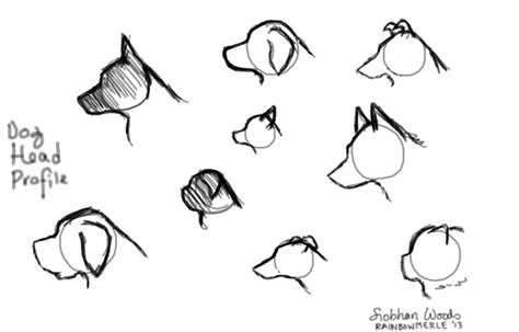 Dog Head Profiles by RainbowMerle | Cartoon dog drawing, Profile ...