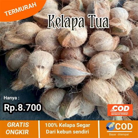 Jual KELAPA TUA UTUH 1 BUAH | Shopee Indonesia