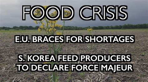 FOOD CRISIS: EU Expects Shortages, S. Korea Feed Producers to Declare Force Majeur - Activist Post