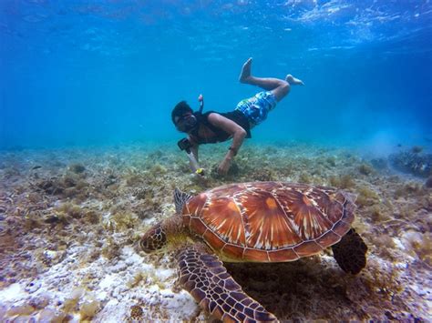 10 Best Places For Snorkeling In Hawaii | Sea Paradise