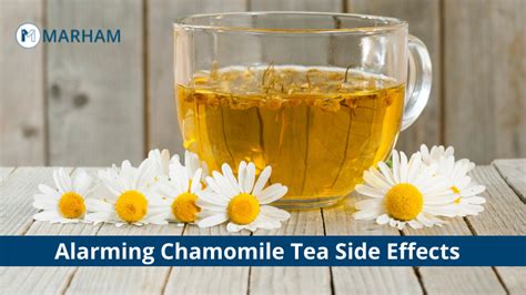 Chamomile Tea Side Effects, Benefits and Uses | Marham