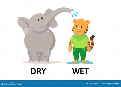 Words Dry And Wet Flashcard With Cartoon Animal Characters. Opposite Adjectives Explanation Card ...