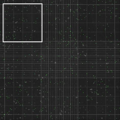 Frontiers | Methodological precision of in situ and in vitro algal density measurements in the ...