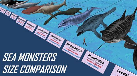 Megalodon Vs Whale Shark Size? Top Answer Update - Barkmanoil.com