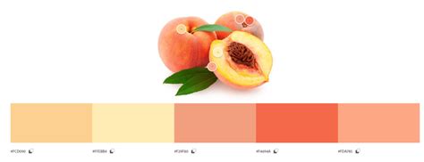 Peach Colour Code - Xoxo Therapy