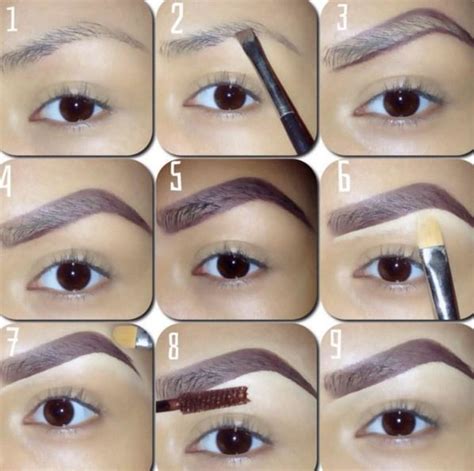 easy eyebrow tutorials APK pour Android - Télécharger