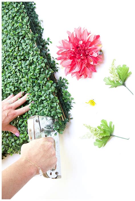 HOW TO MAKE A BOXWOOD BACKDROP — Cake & Confetti