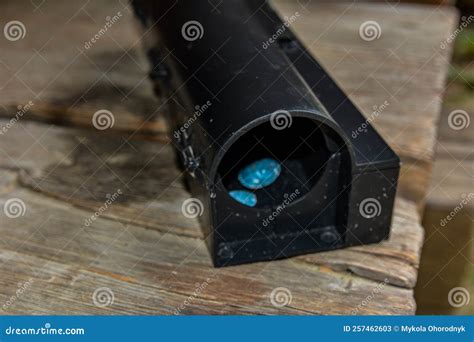 External Rodent Rat Bait Station Outside Stock Image - Image of poison, chemical: 257462603