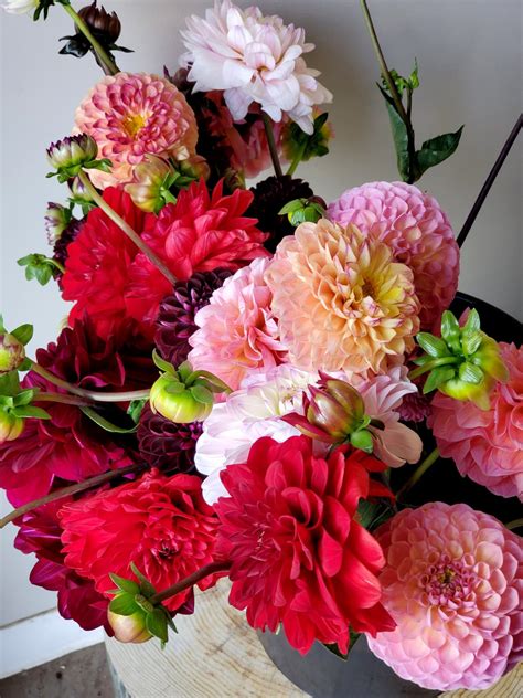 Order Flowers Online | Dahlia Vase Arrangement | Passionate Blooms