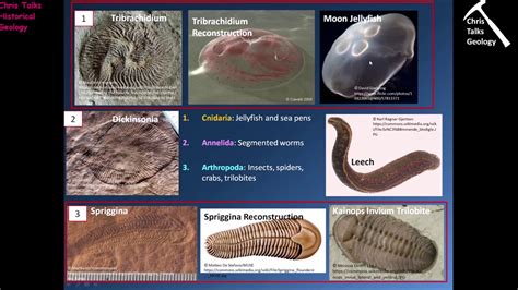 Precambrian Earth and Life History The Proterozoic Eon Part 2 - Part 3 ...