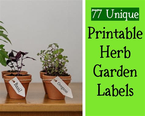 Herb Garden Labels Printable Fun Whimsical Font Unique | Etsy