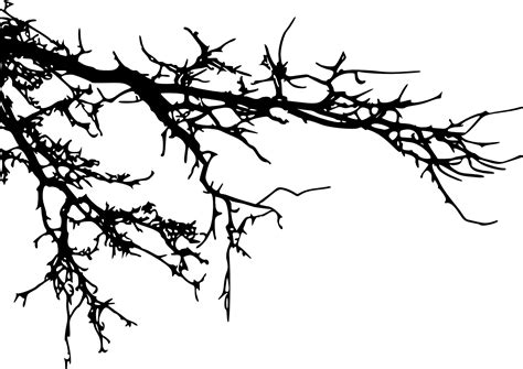 Branch Tree Silhouette Clip art - tree branch png download - 1452*1027 - Free Transparent Branch ...