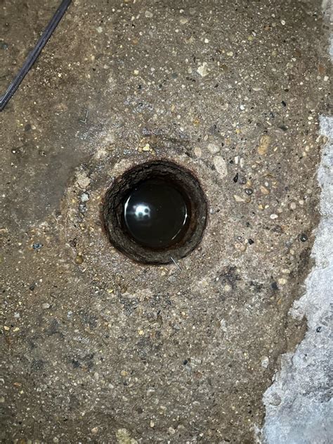 Basement drain clogged?? : r/Plumbing