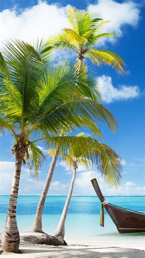 Palm trees, boat, tropical sea, beach, clouds iPhone Wallpaper ...