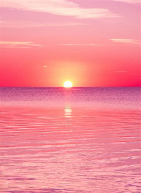 Pink Beach Sunset Wallpapers - 4k, HD Pink Beach Sunset Backgrounds on WallpaperBat