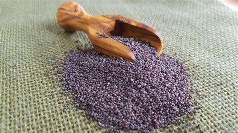 Poppy Seeds, blue - Spice Mountain