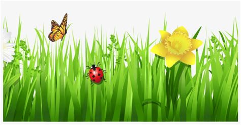 Grass Clip Art - Flowers With Grass Png Hd Transparent PNG - 1368x855 ...