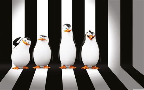 🔥 Download Penguins Of Madagascar Wallpaper 1080p Zb33baa 4usky by @tracylopez | Penguins ...