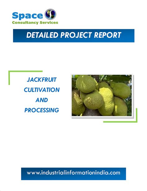 Jackfruit Cultivation and Processing Project Report - Space Consultancy Services