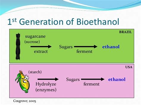 Bioethanol Production