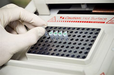 Mycoplasma Testing | INCELL