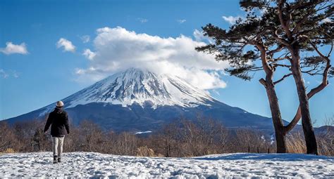 Five Awesome Mount Fuji Day Trip Itinerary Ideas - Nickkembel Travels