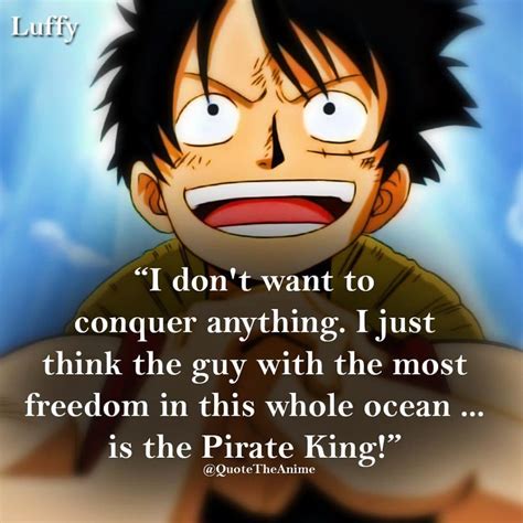 27+ one piece pirate king luffy - AftonStuart