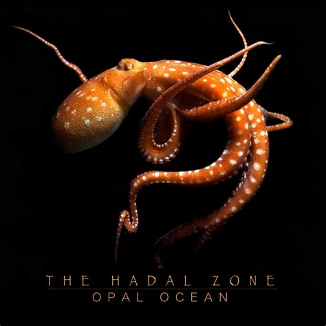 The Hadal Zone | Opal Ocean