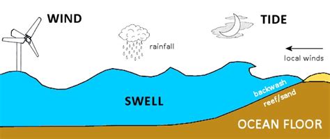 How is a wave formed? Understanding Swell and Surf Forecasts