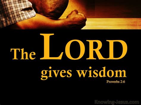 33 Bible verses about Wisdom And Guidance