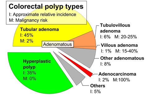 Colon Polyps | Concise Medical Knowledge