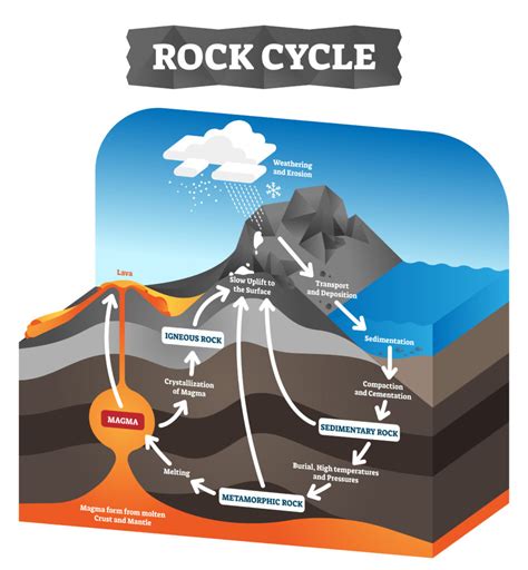 How do Sedimentary Rocks Form? - Sedimentary Sandwich