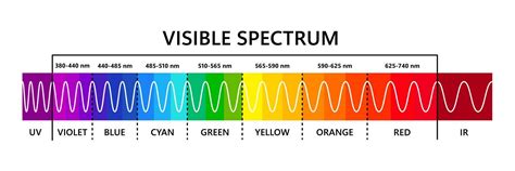 Visible light spectrum, infared and ultraviolet. Optical light wavelength. Electromagnetic ...