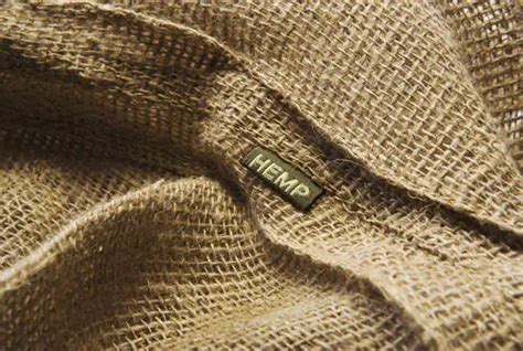 13 Most Eco-Friendly Fabrics For Sustainable Fashion