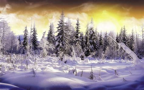 Winter Wallpaper Desktop | WhatsPaper