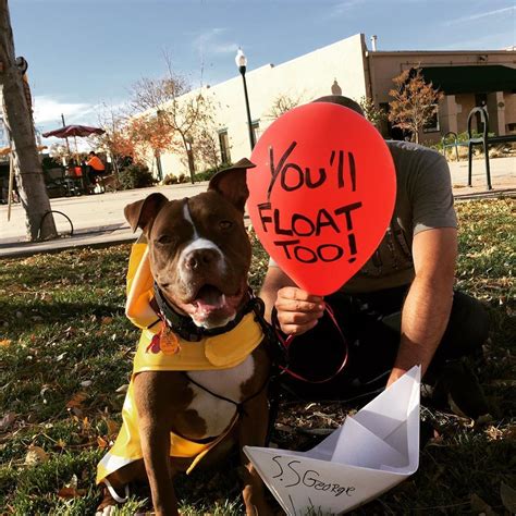 21 Pictures That Prove Pit Bulls Are Even Cuter on Halloween | Funny halloween costumes, Dog ...