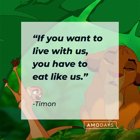 35 Timon Quotes on His Laidback Views Complete with Some Wisecracks