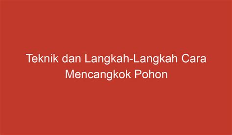 Teknik dan Langkah-Langkah Cara Mencangkok Pohon Mangga