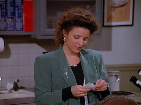 Daily Elaine Benes Outfits Tv Shows Like Friends, 90s Fashion Aesthetic, Cher And Dionne, Elaine ...