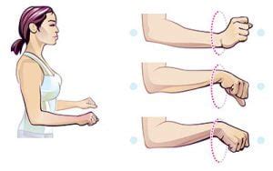 wrist rotation exercise - Playo