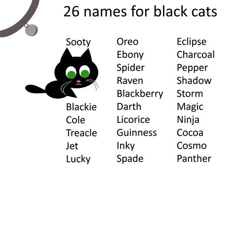 Cat care tips black cat names for your your black cat. | Names for black cats, Grey cat names ...