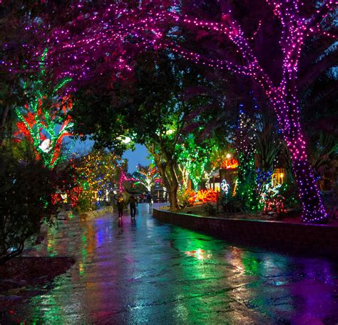 ZooLights - Phoenix Zoo