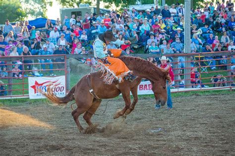 Bronc Riding: Sport In and Out of the Saddle - All About Horses