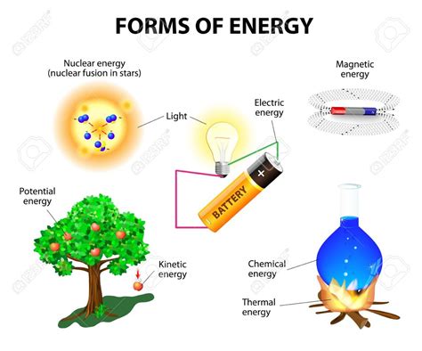 Thermal, Kinetic, and Potential Energy Diagram | Quizlet