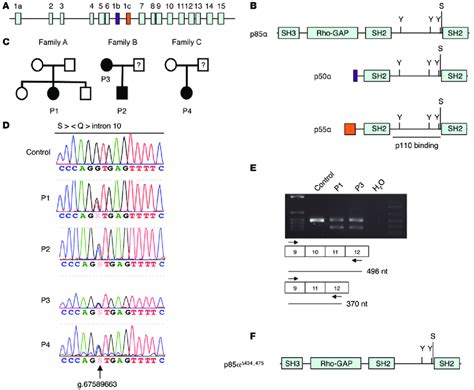 A splice site mutation in PIK3R1 leads to deletion of part of the... | Download Scientific Diagram