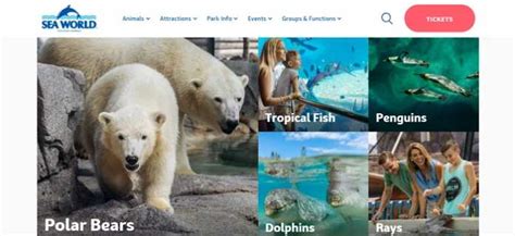 5 Best Aquariums & Zoos in Gold Coast - Top Rated Aquariums & Zoos